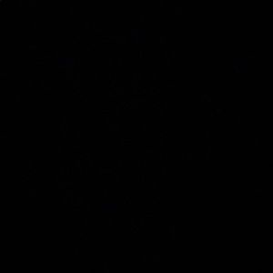 Meet your Posher, Savannah